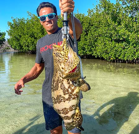 goliath grouper key west