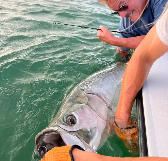 big tarpon caught in the lower keys